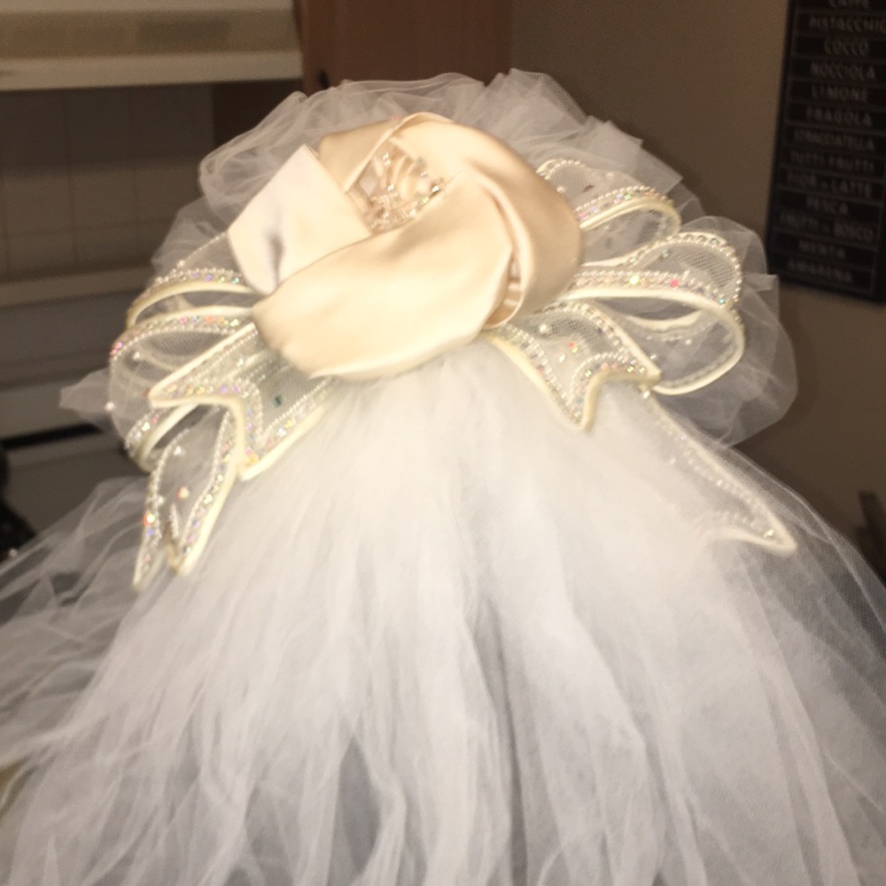 Wedding veil